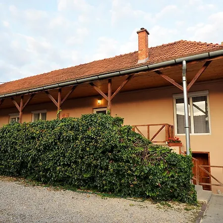 Panzió Fonix Panzio *